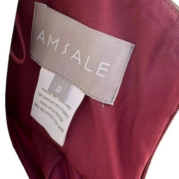 Amsale Sz 0 Cerisa Ruby Bridesmaid Gown‎ Full Chiffon Skirt Ruched Bodice GB033F - Picture 6 of 11